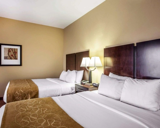 Quadruple Suite