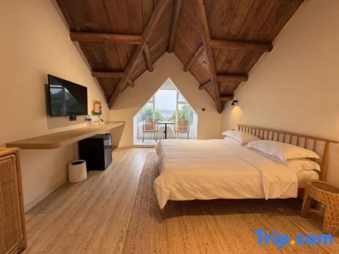 Double Apartment