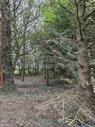 Woodlands Basic Bell Tent 3