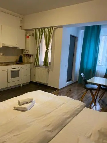 Alba Iulia Residence Studio