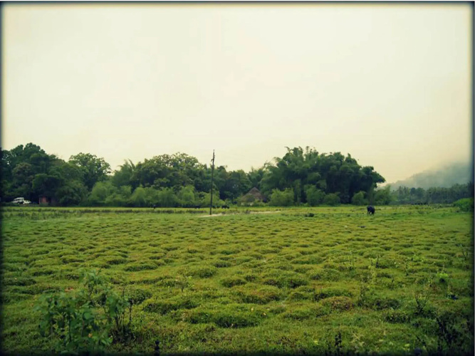 Elephant Route Resort