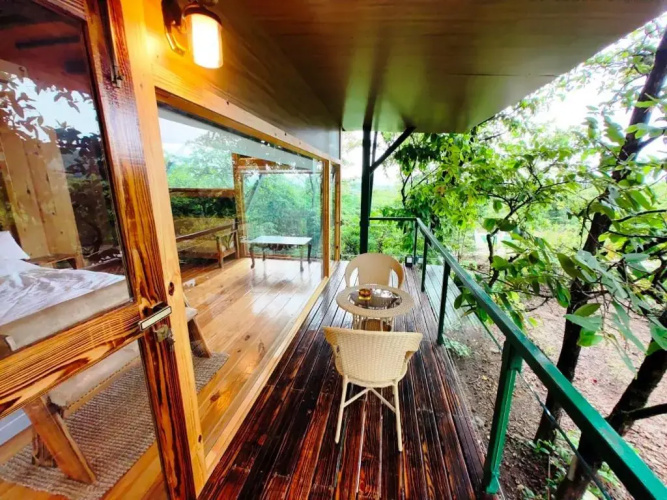 The Arboreal Resort