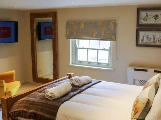 Luxury Double room