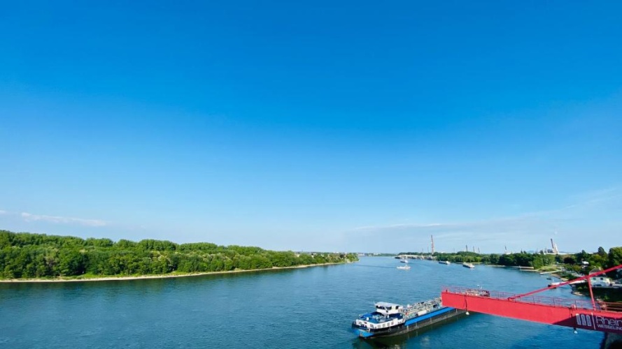 am Rhein photo 6