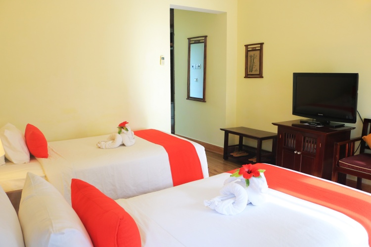 Superior Double room with balcony and with garden view