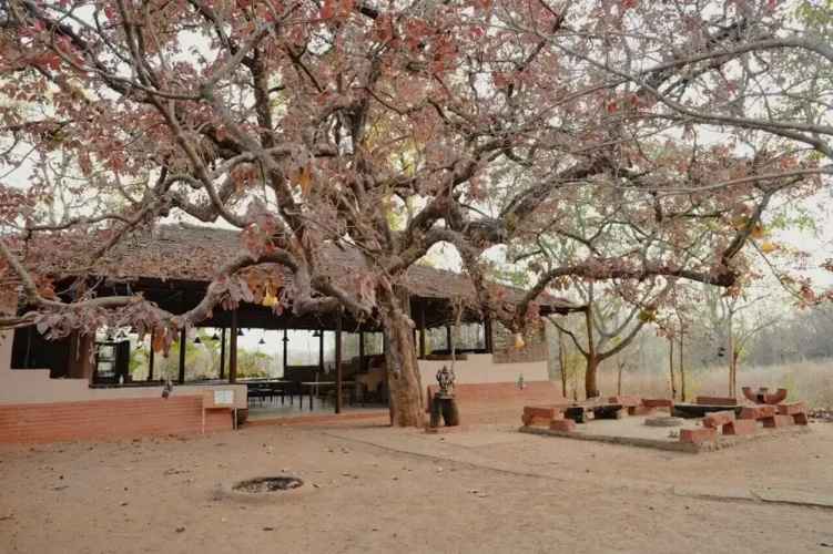 Monsoon Forest By Greetoe Resort