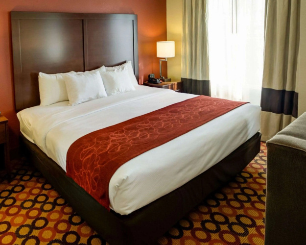 Charlotte Suites