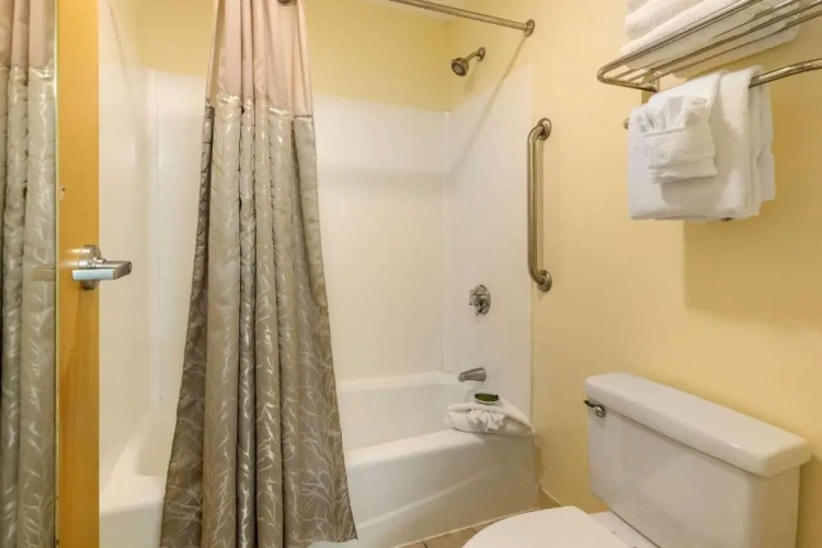 Executive Quadruple Suite