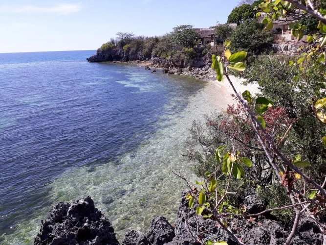 1 Bedroom Deluxe Double room with ocean view