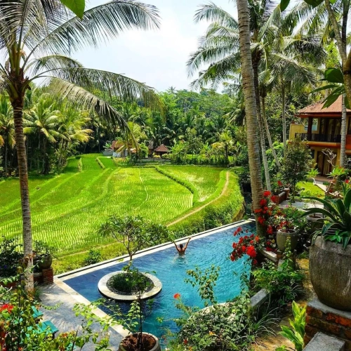 Balinese House