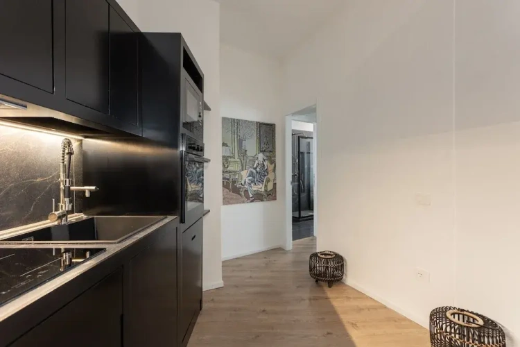 Luxury Apartment