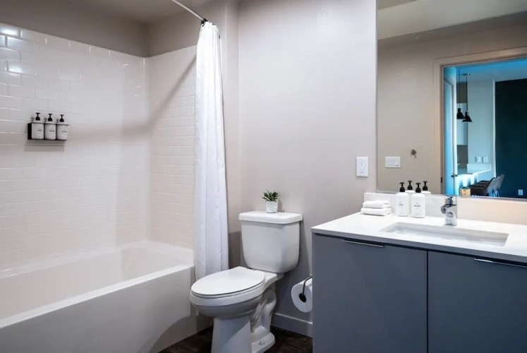 1 Bedroom Standard Apartment