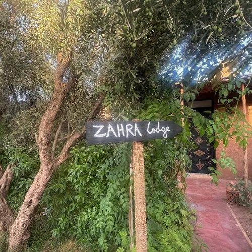 Standard Double room with pool view