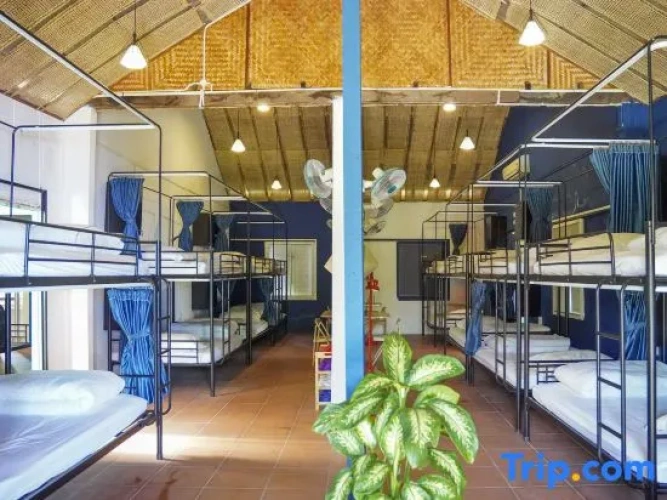 Bed in Dorm