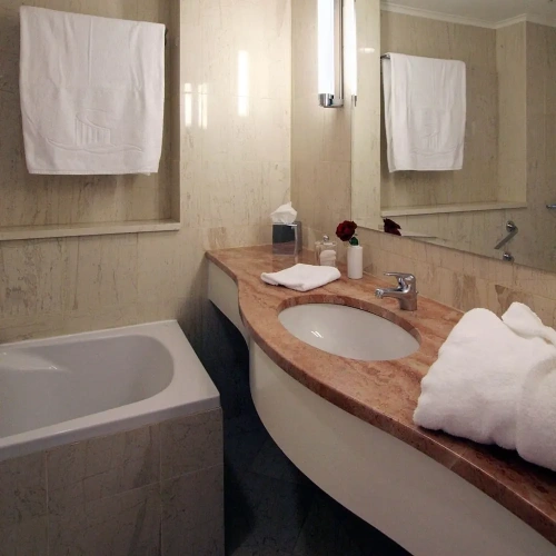 Standard Double room with balcony and with mountain view