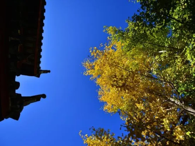 Outside