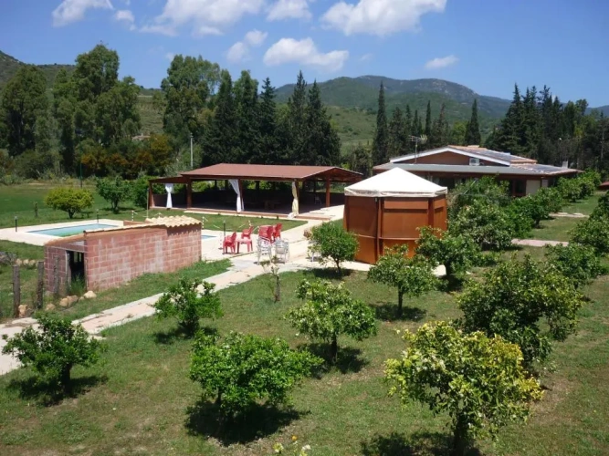 Standard Twin room with garden view