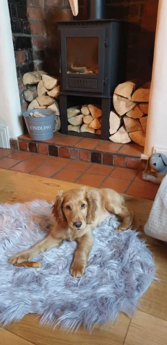 Charming 2-bed Cottage on Outskirts of Beverley