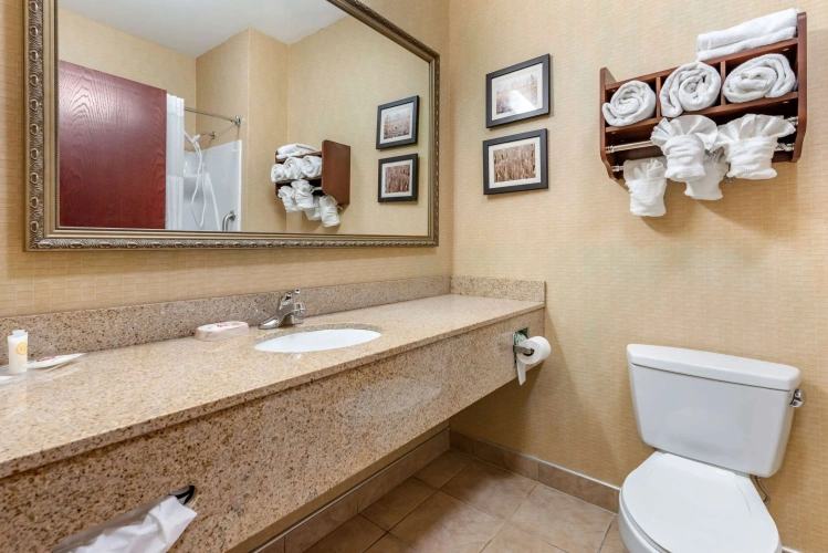 Quadruple Suite