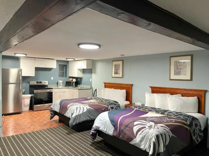 1 Bedroom Apartment