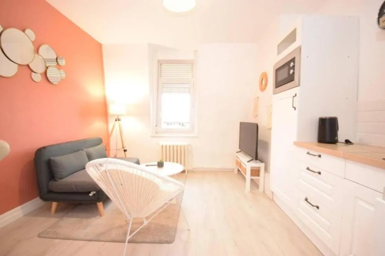 1 Bedroom Apartment