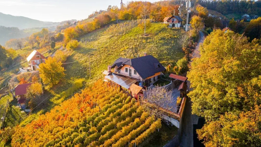 Vineyard Cottage Bregac
