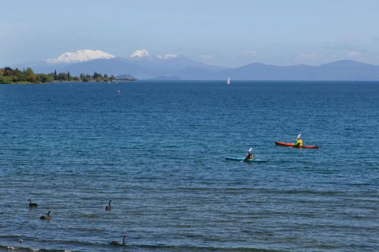 The Cove Taupo