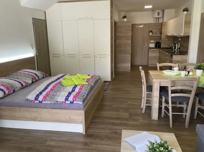 1 Bedroom Standard Apartment