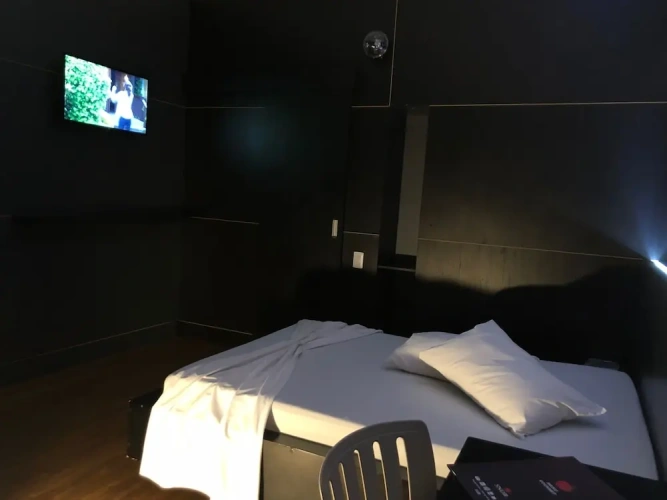 Luxury Apartment