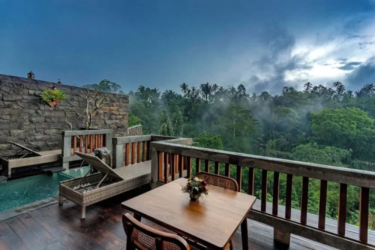 1 Bedroom Suite with view