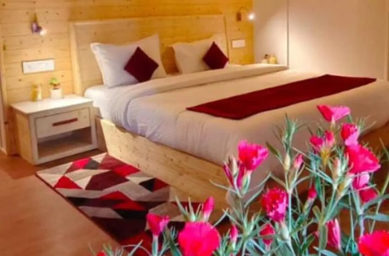 Premium Double room with balcony and with mountain view