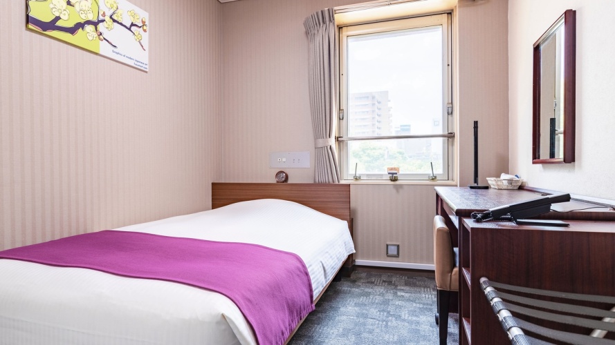 Economy Single room
