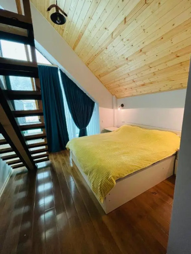 Snow Forest Bakuriani Apartment 17B