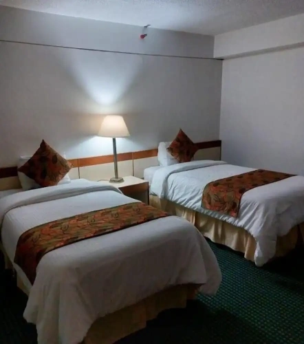 Standard Triple room with city view