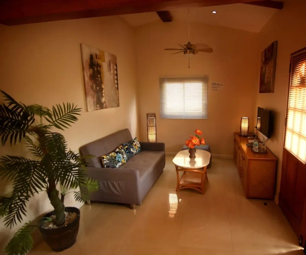 1 Bedroom Apartment with balcony and with view