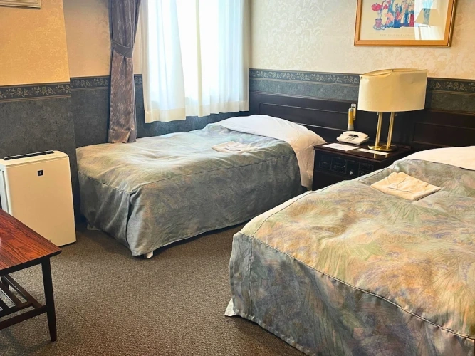 Standard Twin room with city view