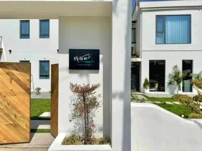 Find a rice field homestay