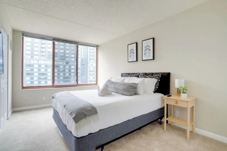 Pentagon City Apt Cozy & Convenient
