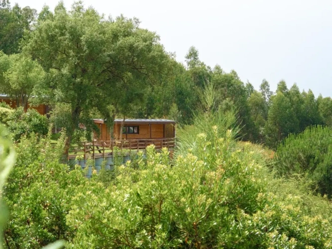 1 Bedroom Bungalow