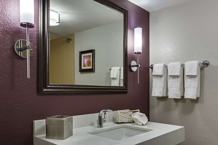 DoubleTree by Hilton Hotel Orlando East-UCF Area photo 9