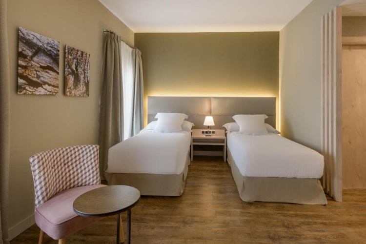 Deluxe Twin room with river view