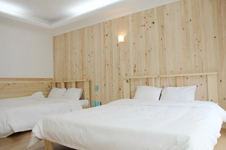 Standard Twin Family room