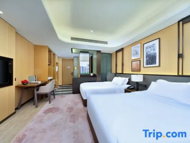 Standard Twin Family room