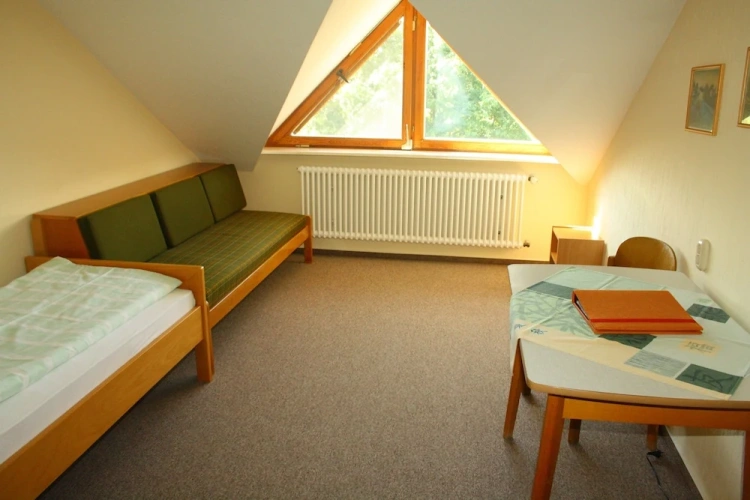 Economy Single room