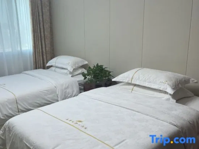Comfort Family Suite