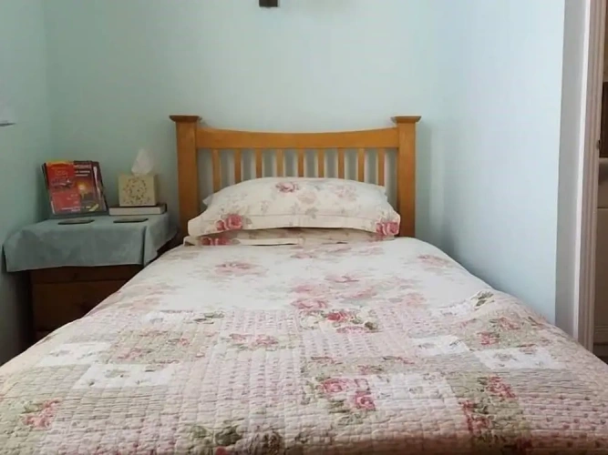 Comfort Single room with garden view