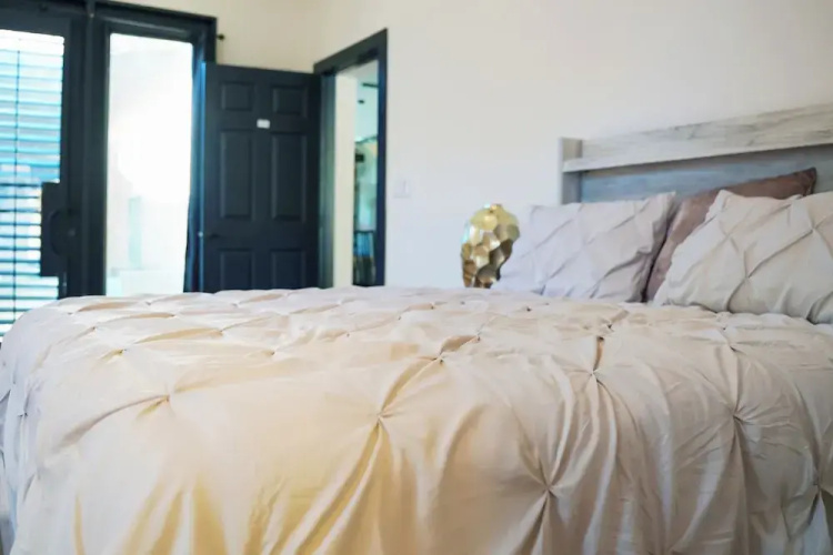 Walk to Boat Launch: Stylish Austin Gem