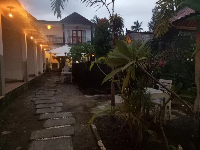 Palm Trees Villas