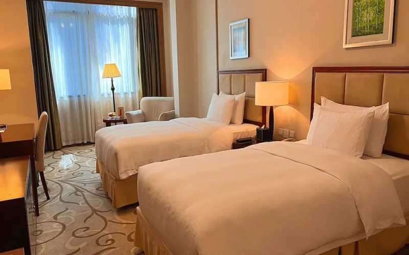 Superior Twin room with city view