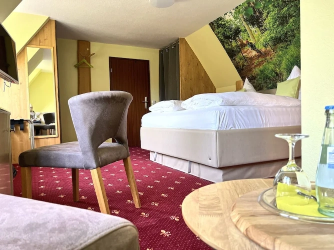 1 Bedroom Superior Double room